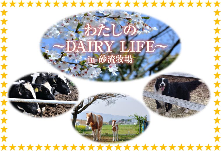 RUI わたしの〜DAIRY LIFE〜in 砂流牧場